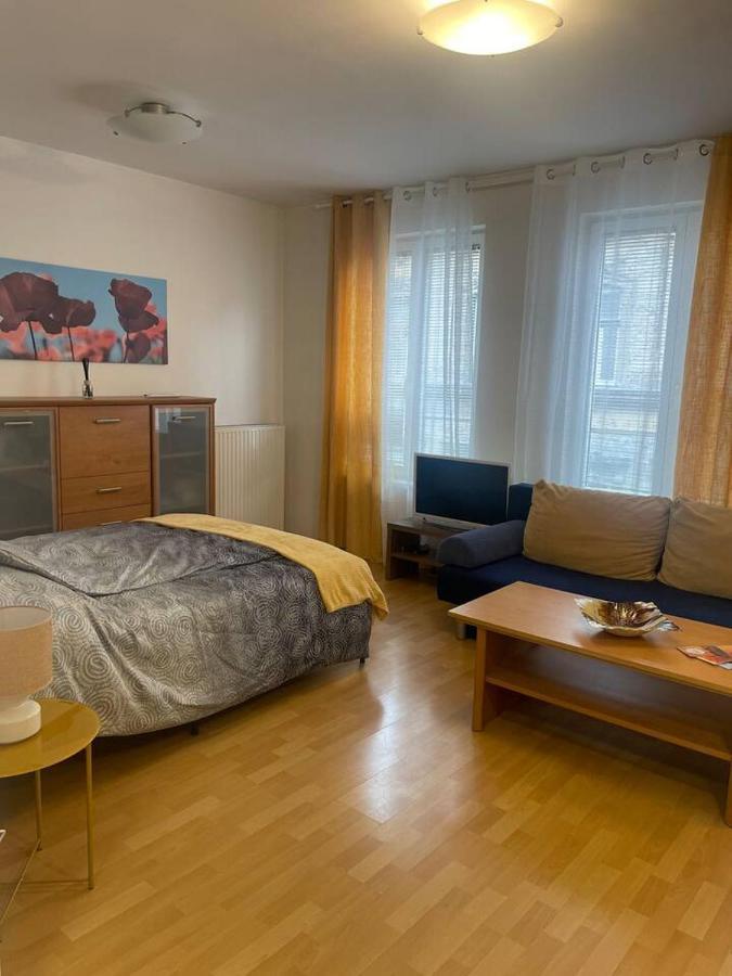 Central Studio Close To Andrassy Avenue For 4 Persons Budapest Kültér fotó